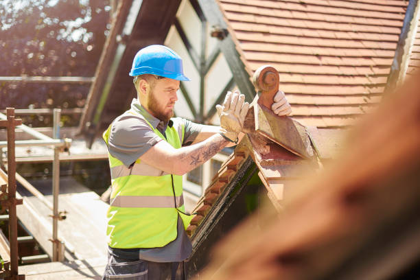 Best Roof Maintenance Services  in Fountain, CO