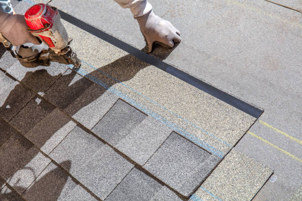 Best Metal Roofing Contractor  in Fountain, CO